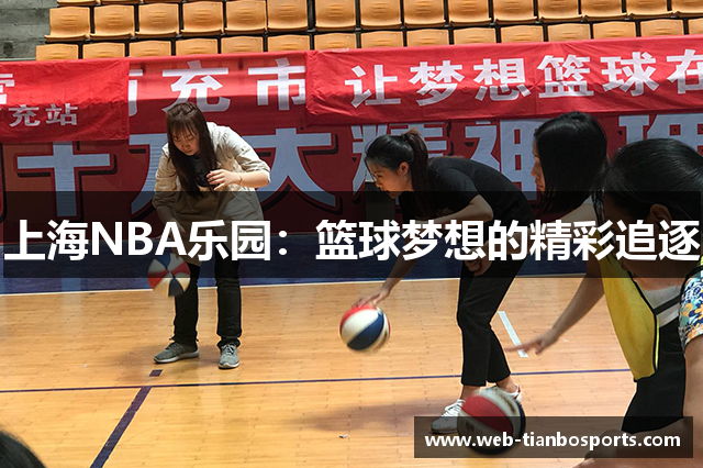 上海NBA乐园：篮球梦想的精彩追逐