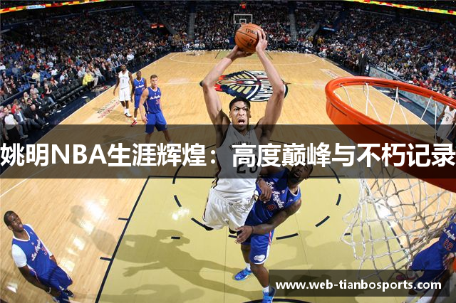 姚明NBA生涯辉煌：高度巅峰与不朽记录