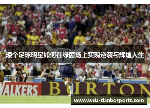 矮个足球明星如何在绿茵场上实现逆袭与辉煌人生