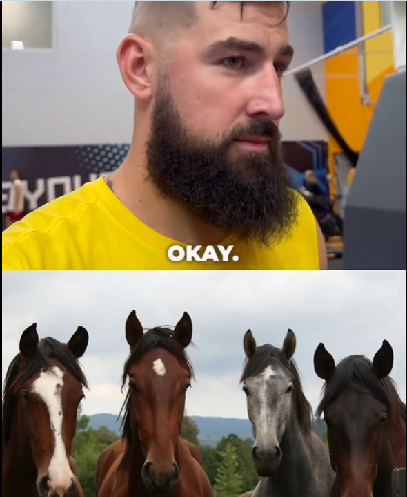 瓦兰:只和约基奇谈到了马,他给我传授了一些马的知识